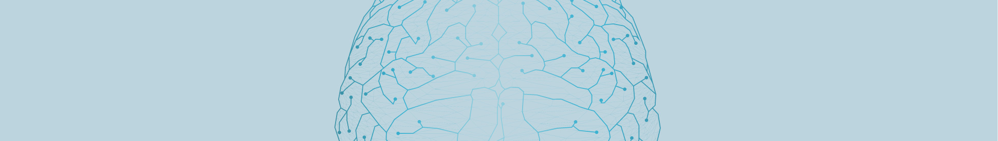 3D Atlas of Neurosurgical Approaches