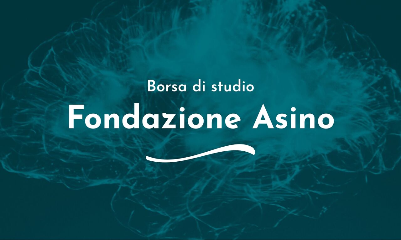 La borsa di Studio Fondazione Asino